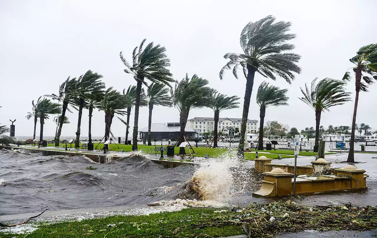 Roads on verge of collapsing as Tropical Storm Nicole batters Florida