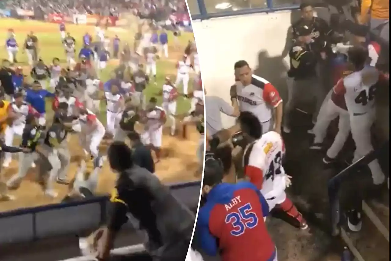 Video shows winter league baseball fight descend into utter chaos