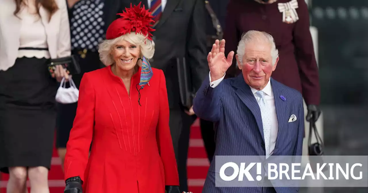 Charles and Camilla targeted by man appearing to throw eggs on Royal visit