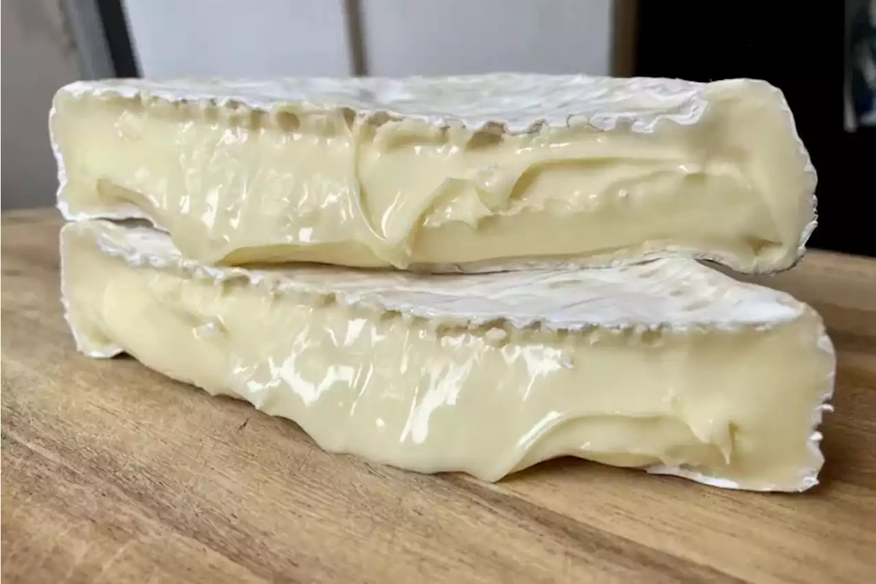 This rich, oozing, Lehigh Valley cheese has peak farmstead flavor