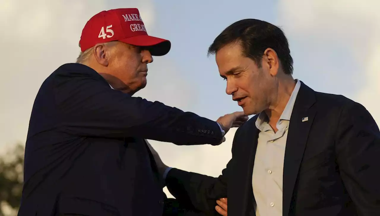 PolitiFact - Verificamos el evento de campaña de Donald Trump con Marco Rubio, pero sin Ron DeSantis