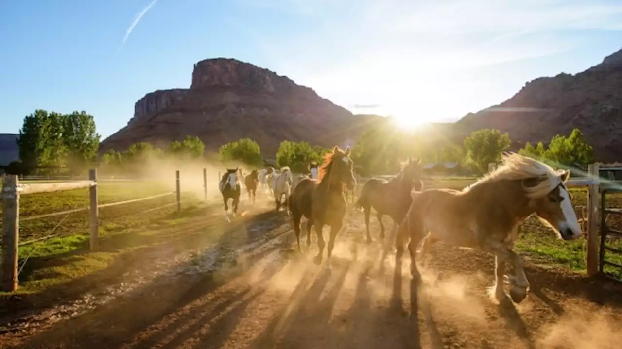 These 8 Luxury Ranch Retreats Will Give You the Ultimate Cowboy Vacation