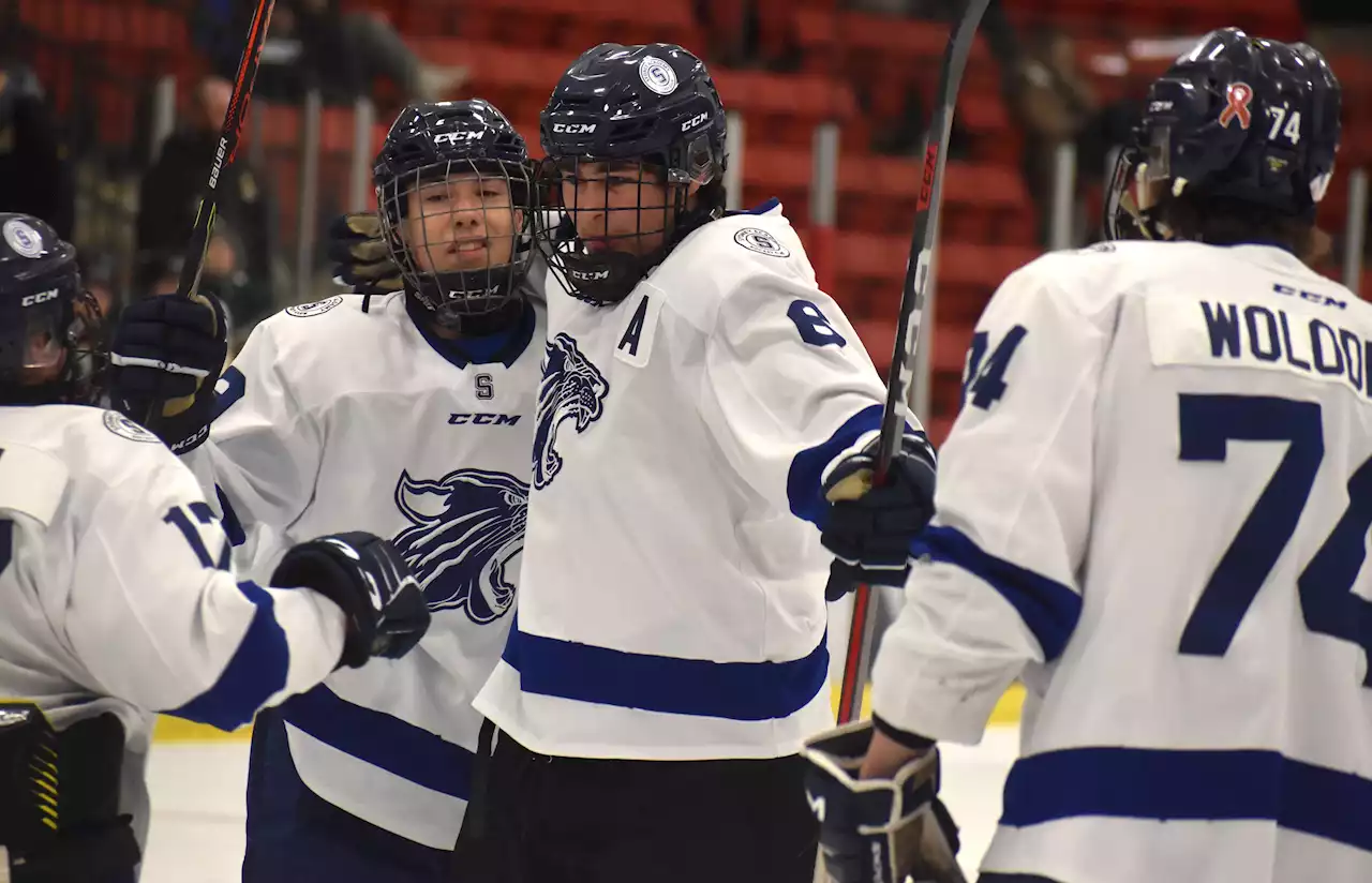 Carew, Sydney Academy Wildcats beat Memorial Marauders in Cape Breton high school hockey action Tuesday | SaltWire