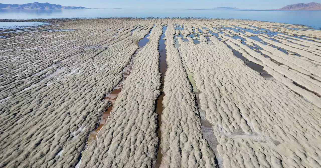 The Great Salt Lake’s ecological collapse has begun