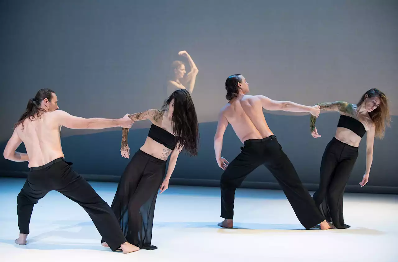 Blog | Carolyn Carlson nei teatri con The Tree: «Con la danza la mia lotta per l’ambiente» - Alley Oop