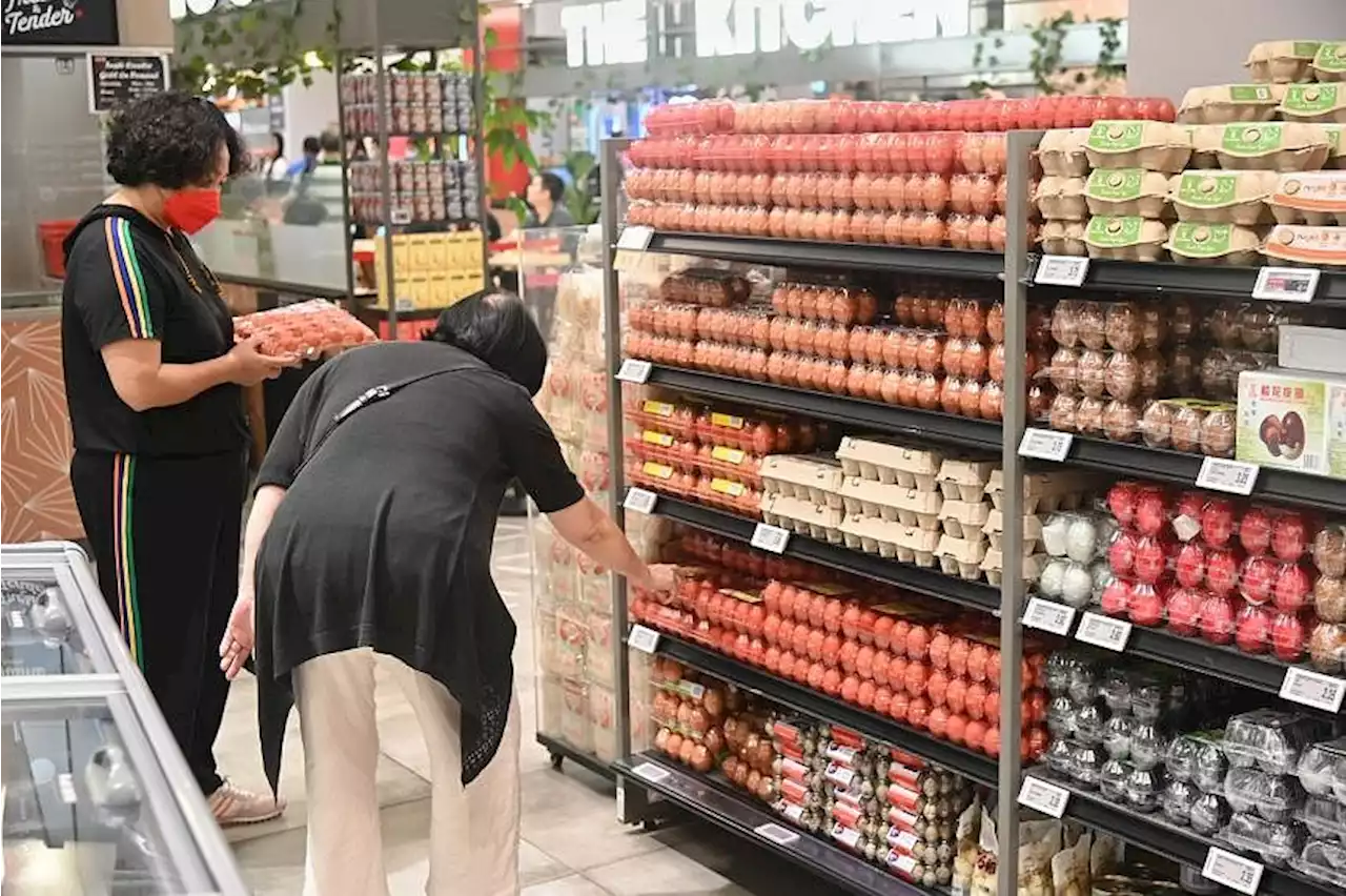 Easing inflation: More time needed for tighter monetary policy to affect prices, says Alvin Tan