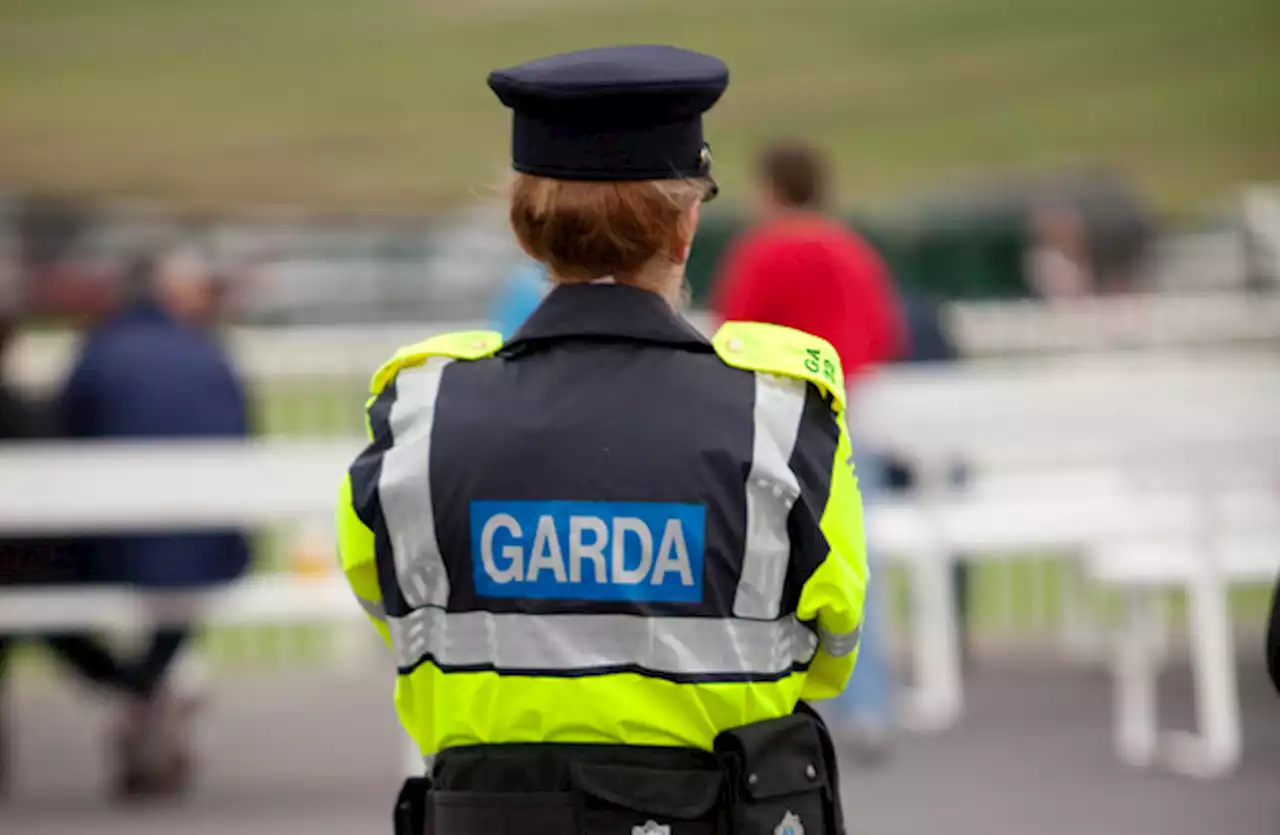 Gardaí to outline concerns about abortion safe access zone law