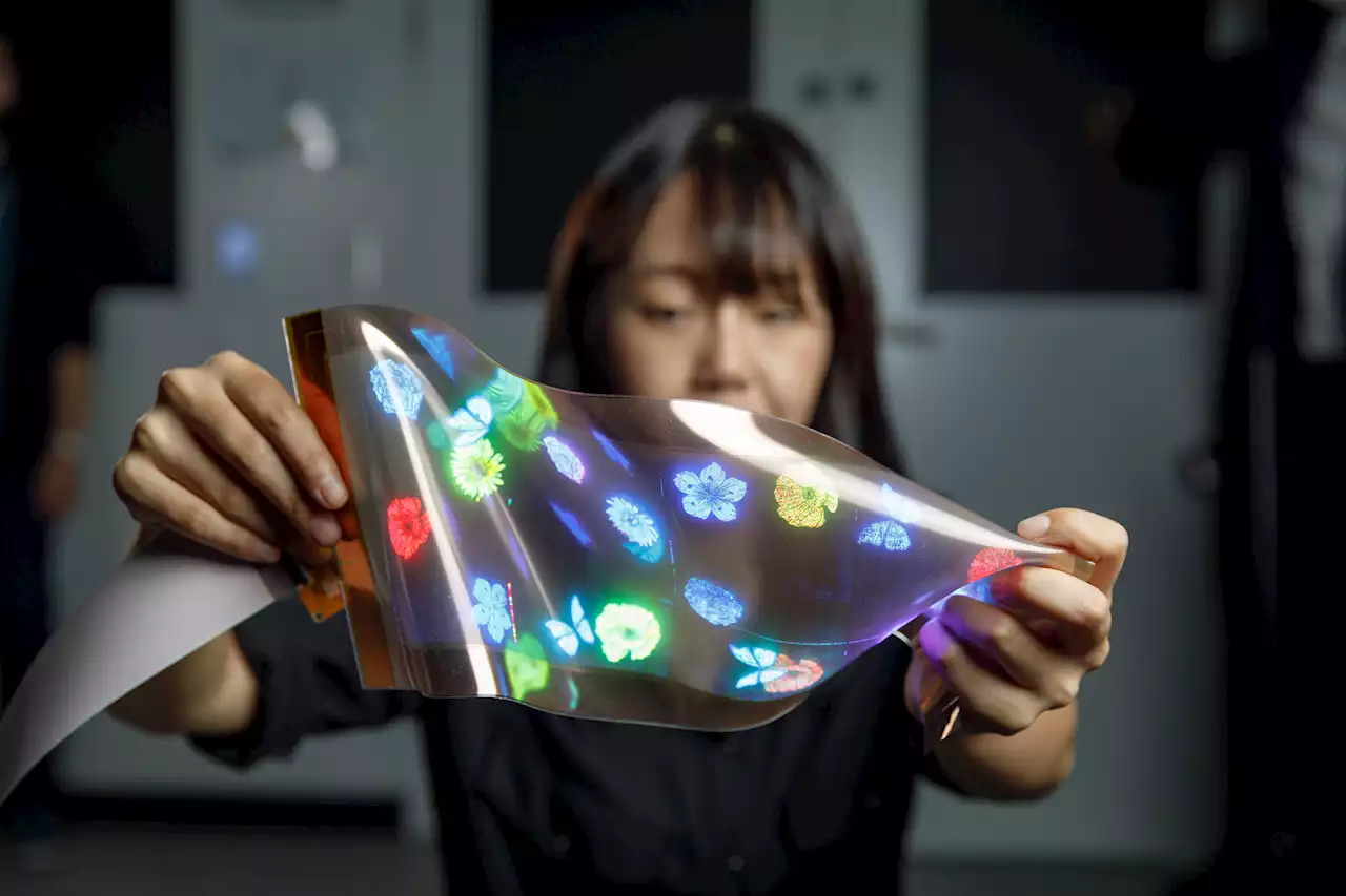 LG debuts screens made from contact lens material