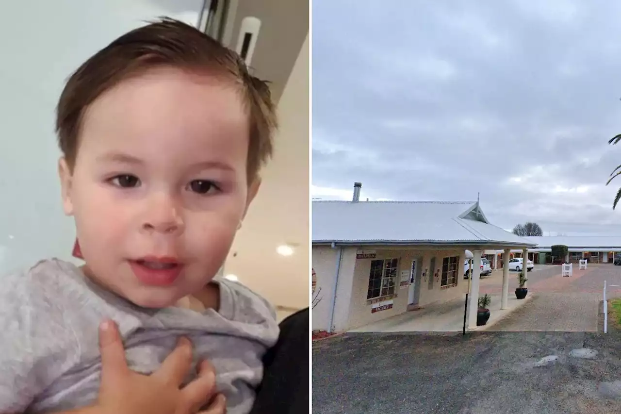 Boy, 2, mauled to death by two dogs in front of horrified older sisters