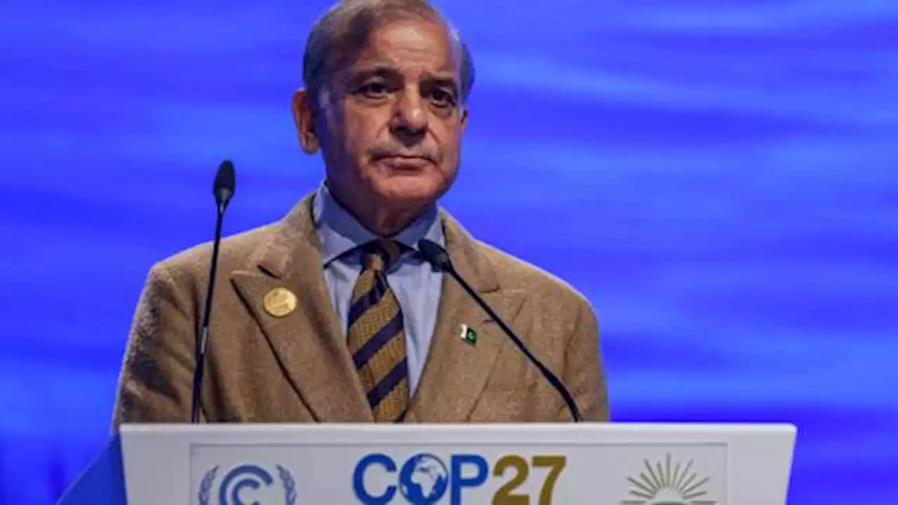 Pakistan seeks climate compensation in Egypt COP27 summit