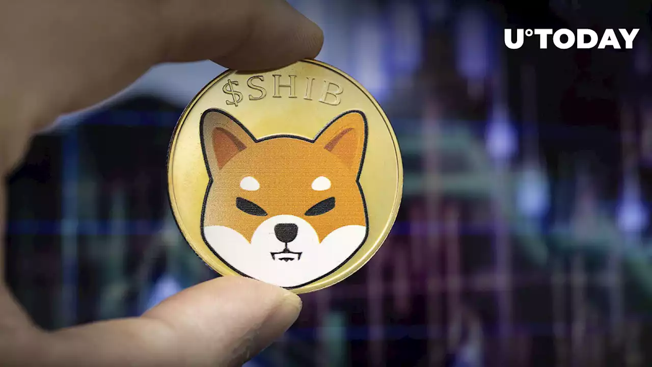 Shiba Inu Shows Strange Trend in This Key Blockchain Metric: Details