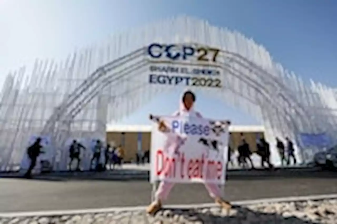 Analysis | U.N. climate summit turns awkward for Egypt