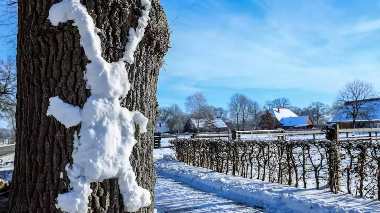 keine winterferien in bremen