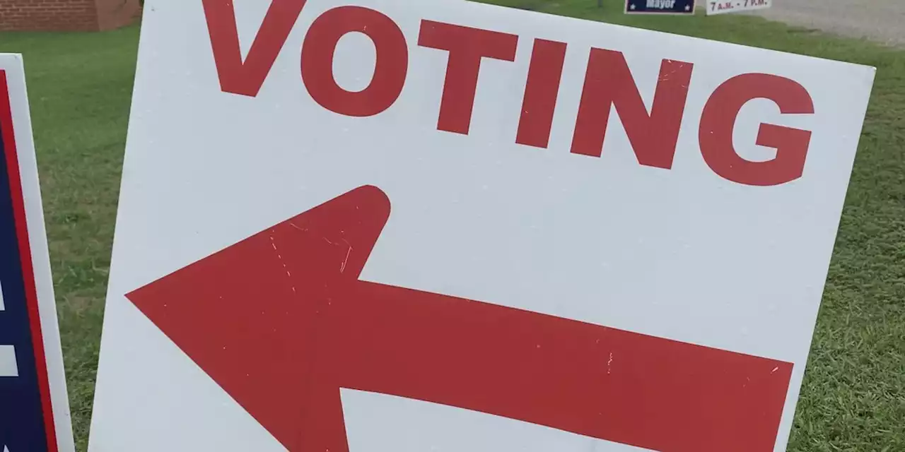 Poll workers removed in Johns Creek because of social media posts, according to officials