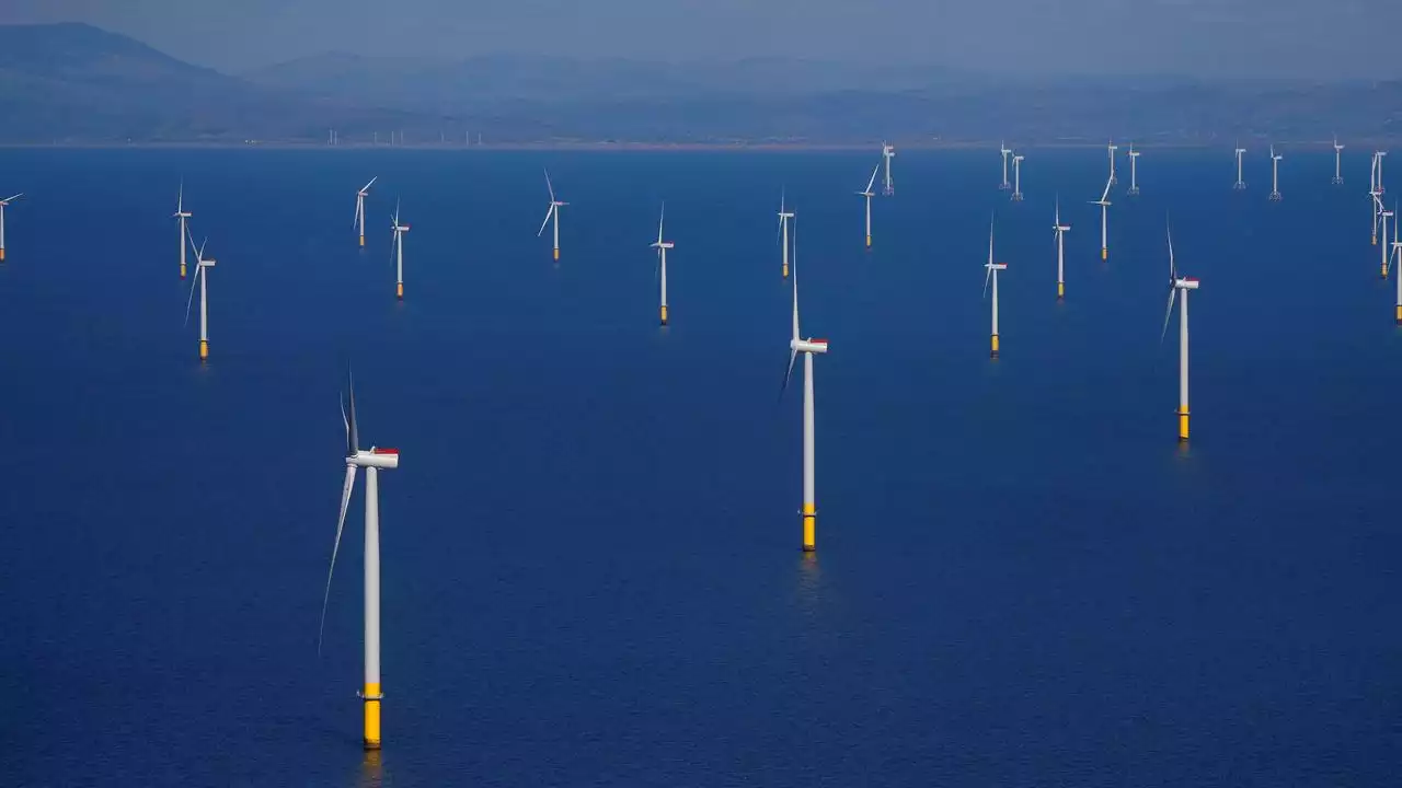 Neun Staaten gründen Offshore-Windkraft-Allianz