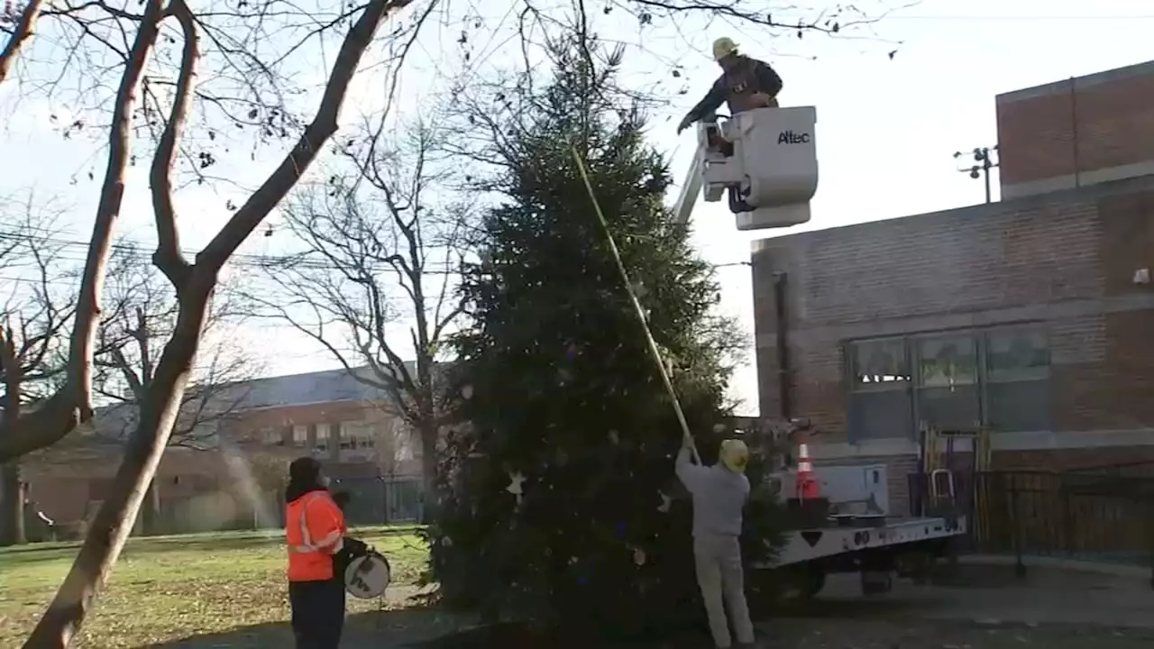 Bridesburg neighborhood regains Christmas joy after tree vandalism