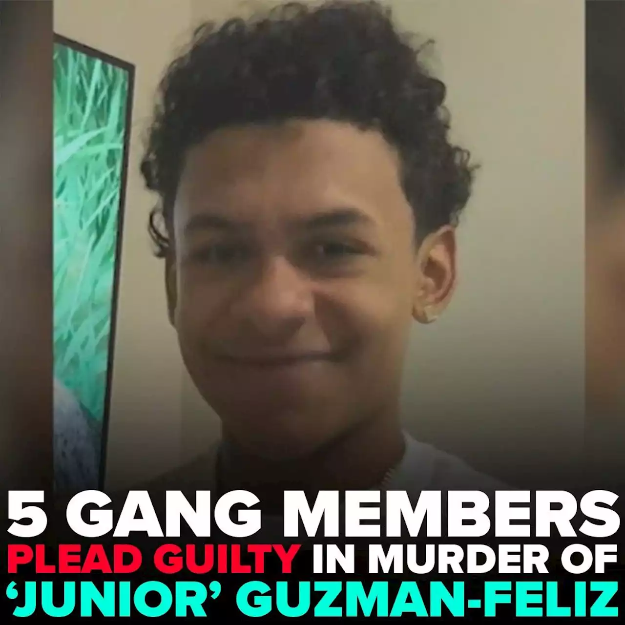 5 gang members plead guilty in murder of Lesandro 'Junior' Guzman-Feliz