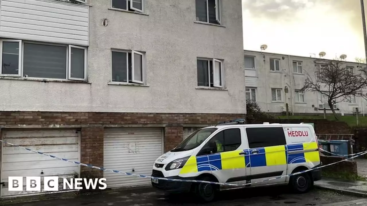 Bridgend: Three released on bail after babies' bodies found