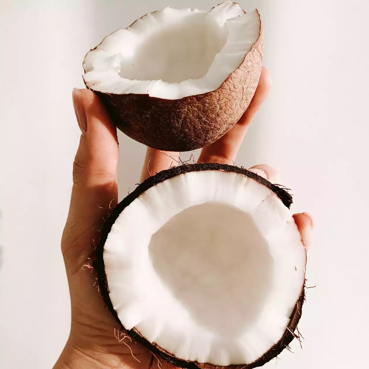 Hope for coconut farmers: What the President can do - BusinessWorld Online