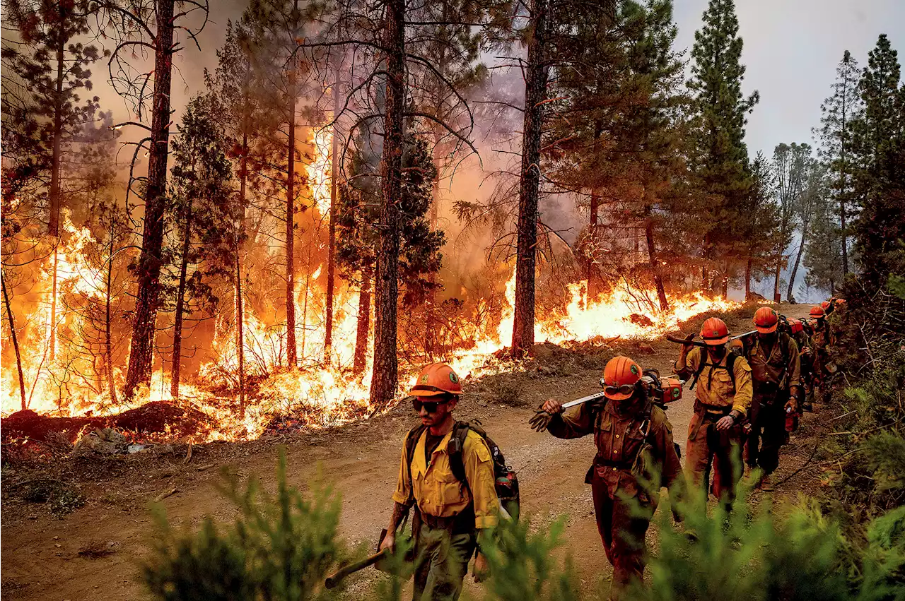 By the numbers: California’s mild 2022 wildfire season