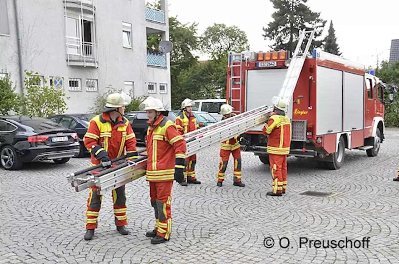 Die wichtigsten Feuerwehr-Dienstvorschriften