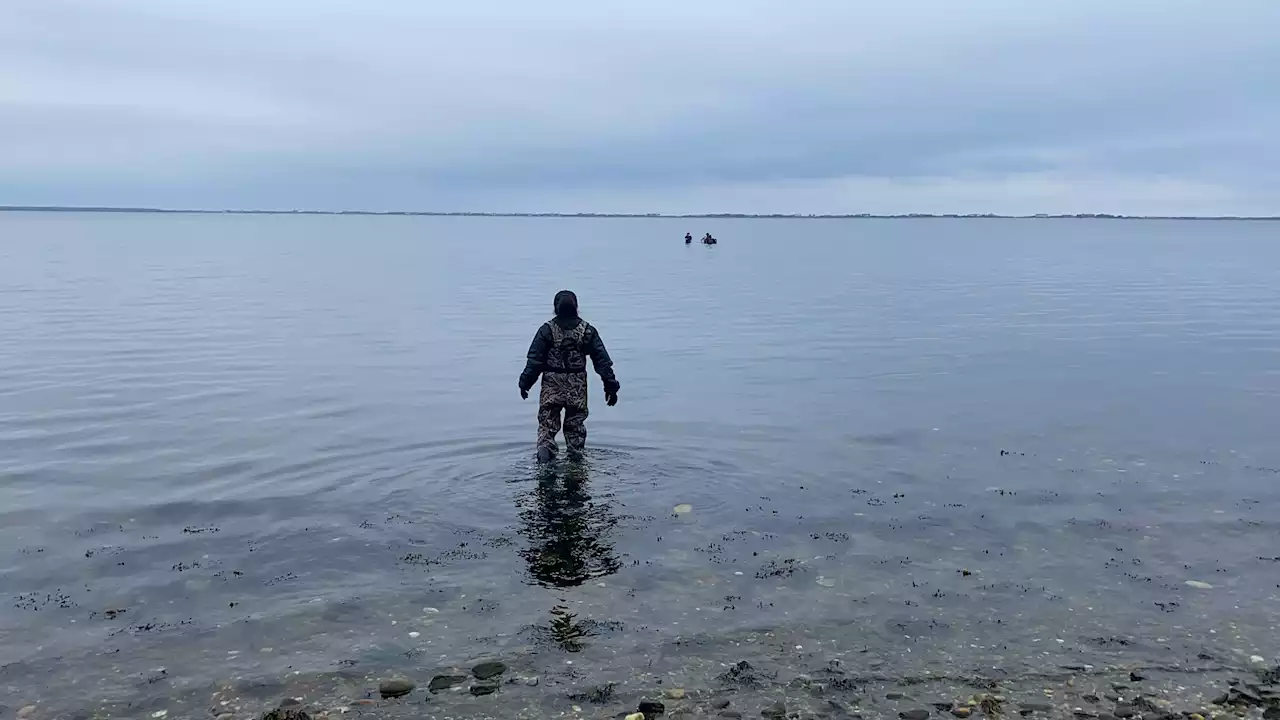 Kelp Farming Could Help Clean up Polluted Waters