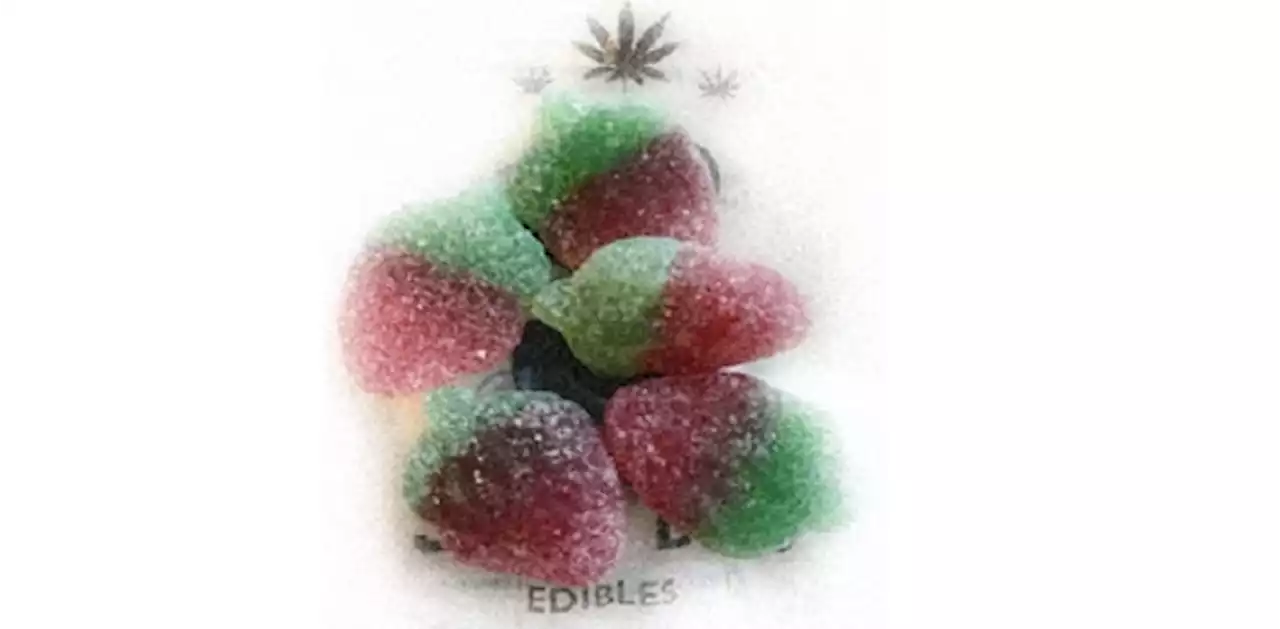 New CAA survey finds more Ontarians driving high on edibles