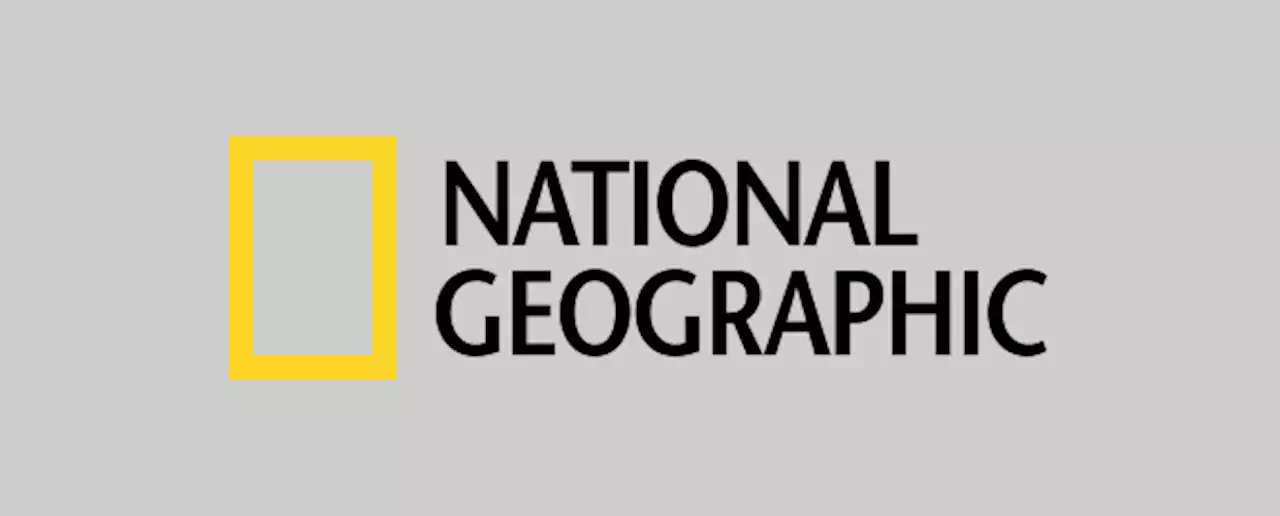 Sky beendet Verbreitung von NatGeo, NatGeo Wild und Junior - DWDL.de