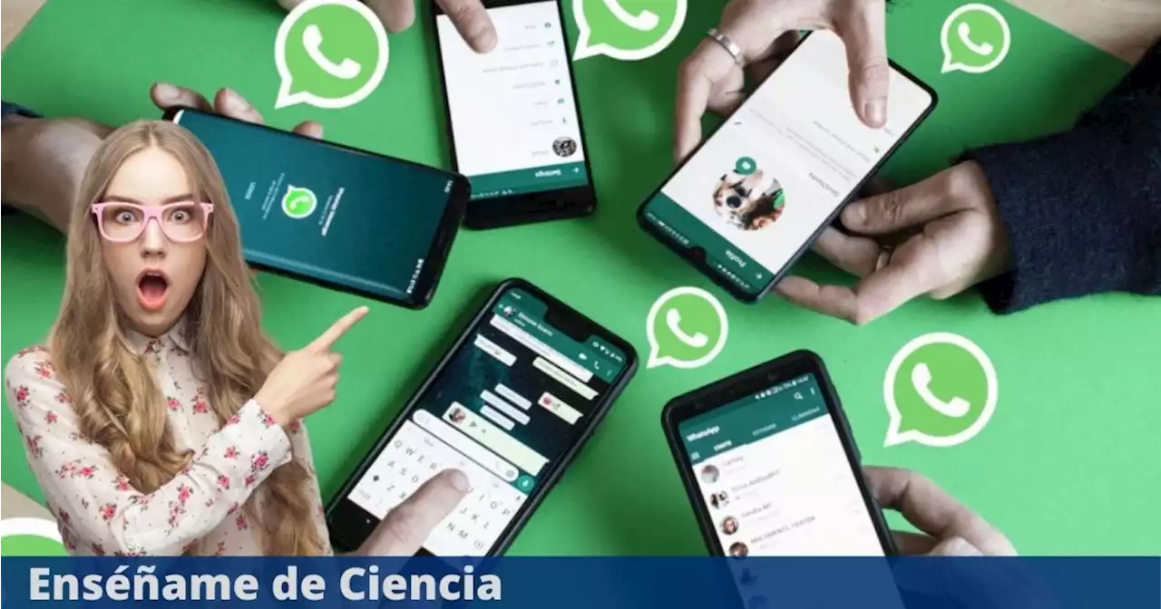 Cómo abrir tu WhatsApp (con el mismo número) hasta en 4 celulares con el modo multidispositivo