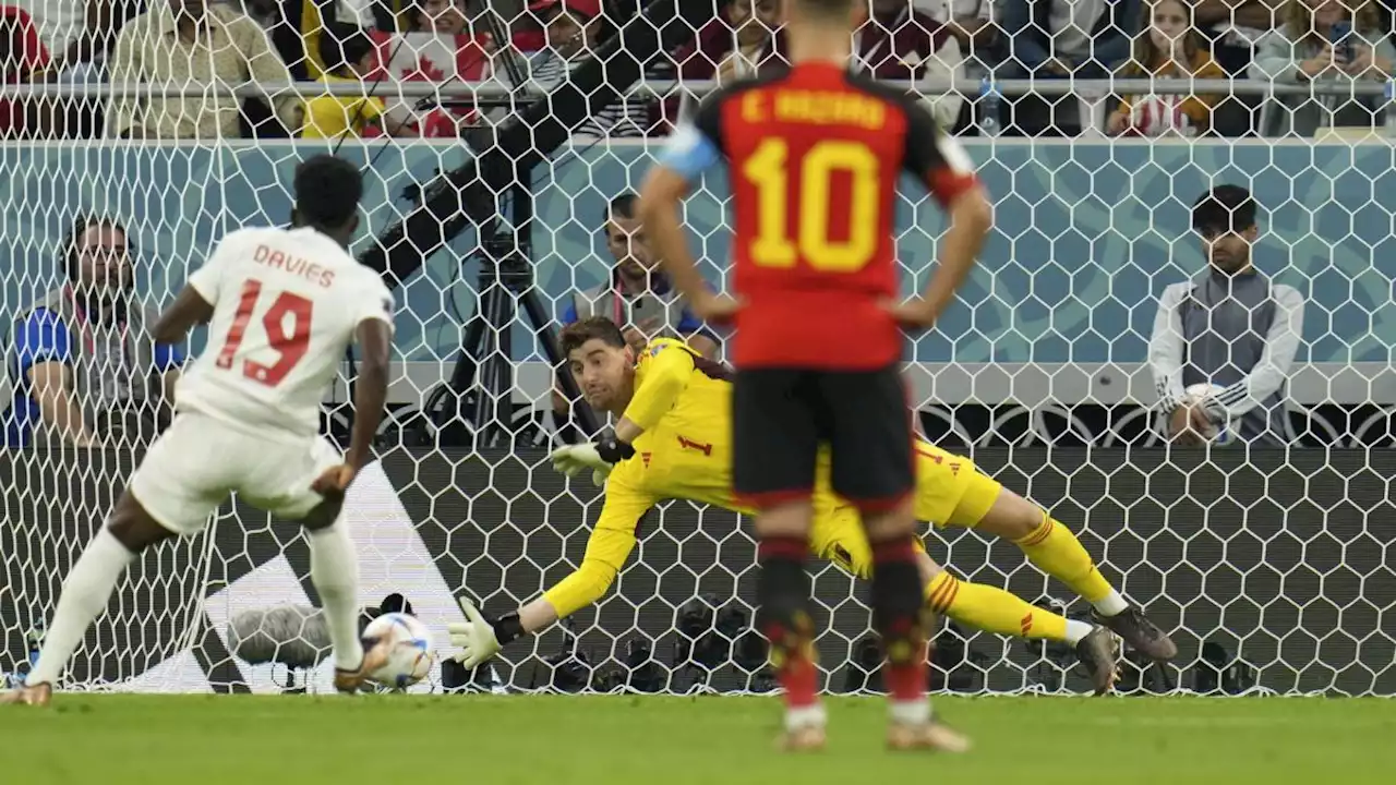 Coupe du Monde 2022, Belgique : la réaction sans concession de Thibaut Courtois