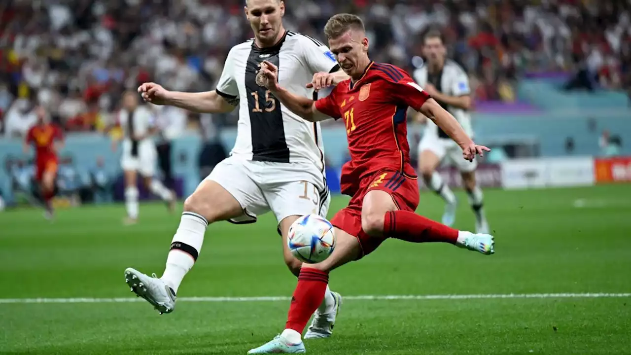 Coupe du Monde 2022, Espagne : Dani Olmo, le leader offensif de Luis Enrique