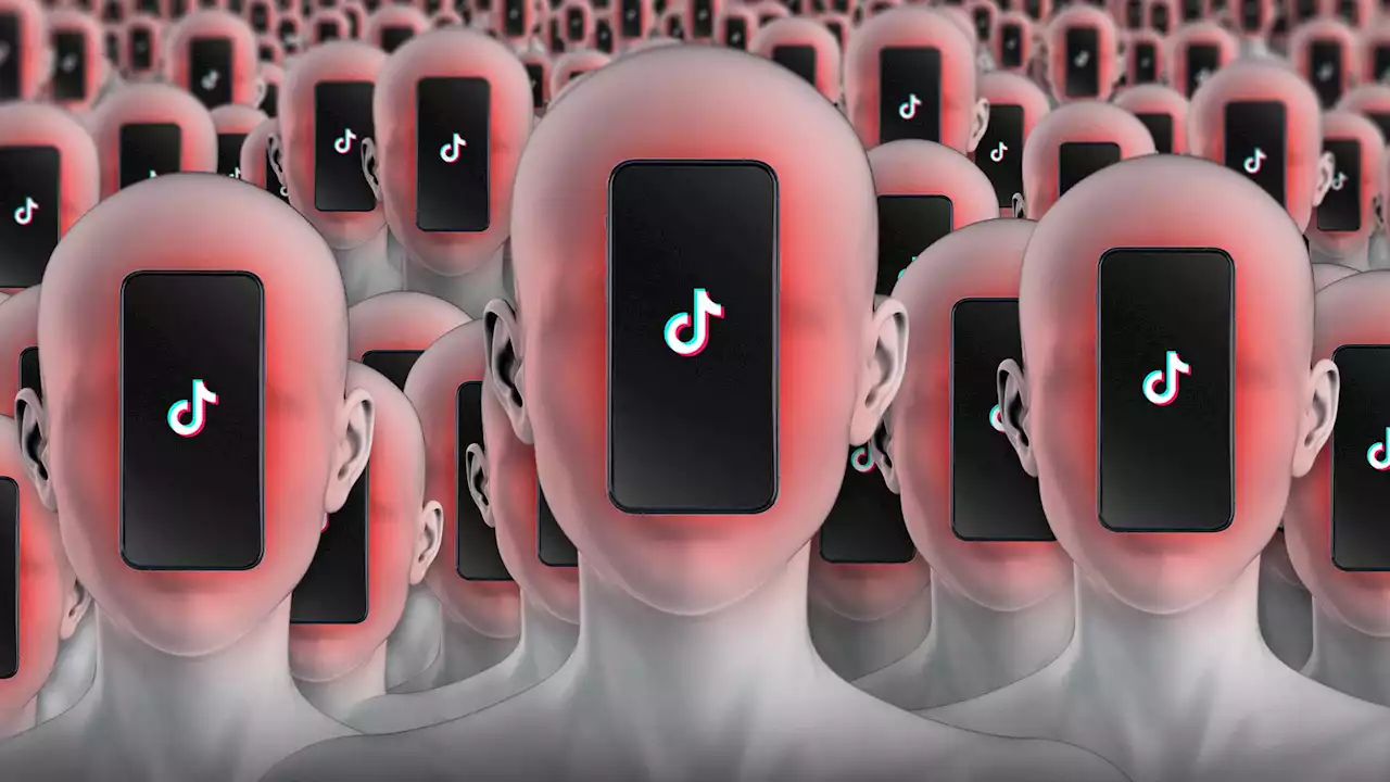 On TikTok, Chinese State Media Pushes Divisive Videos About U.S. Politicians