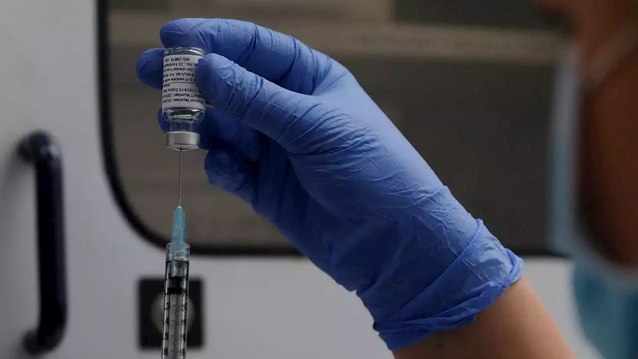 New Zealand government tries to seize guardianship of baby after parents demand unvaccinated blood for surgery