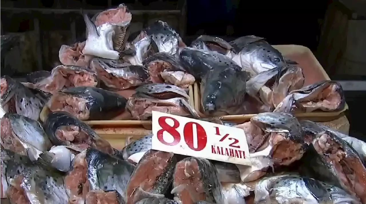 DA mulls lifting ban on sale of imported salmon, pampano in markets