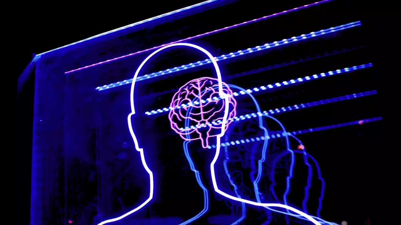 Musk says Neuralink is six months away from human test - Hypertext