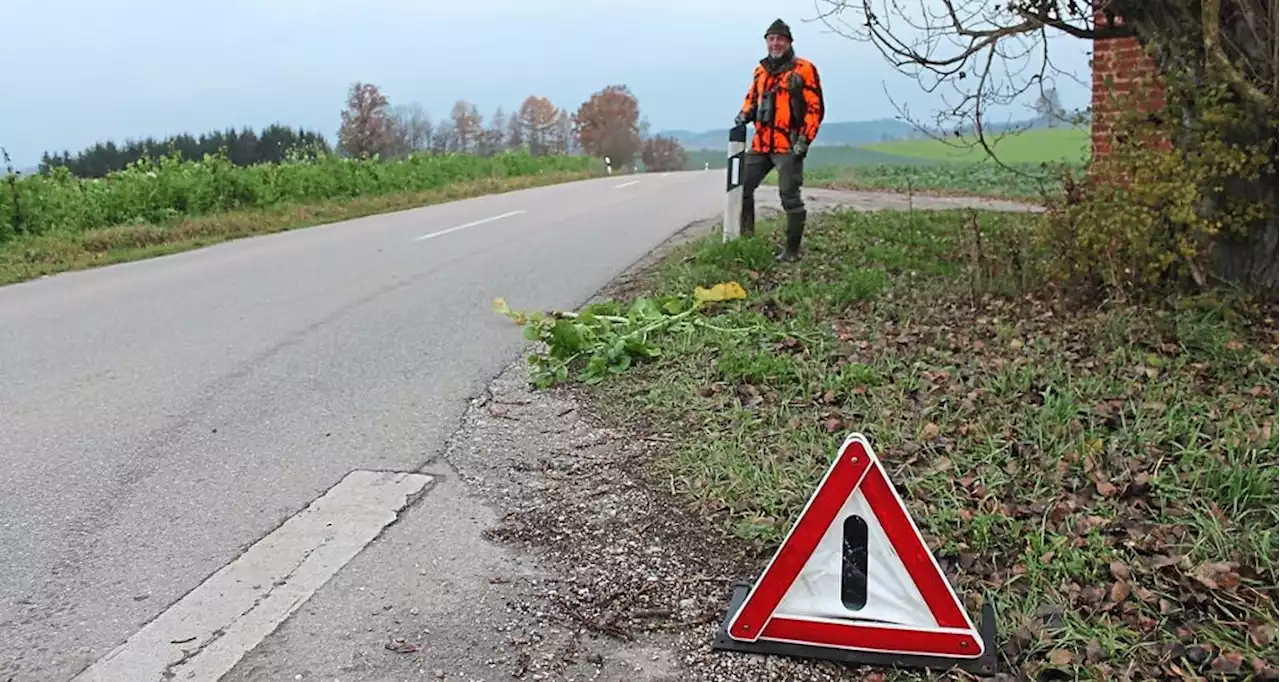 Tiere leiden nach Unfall: Obersüßbacher Jäger appelliert: Ort genau durchgeben - idowa