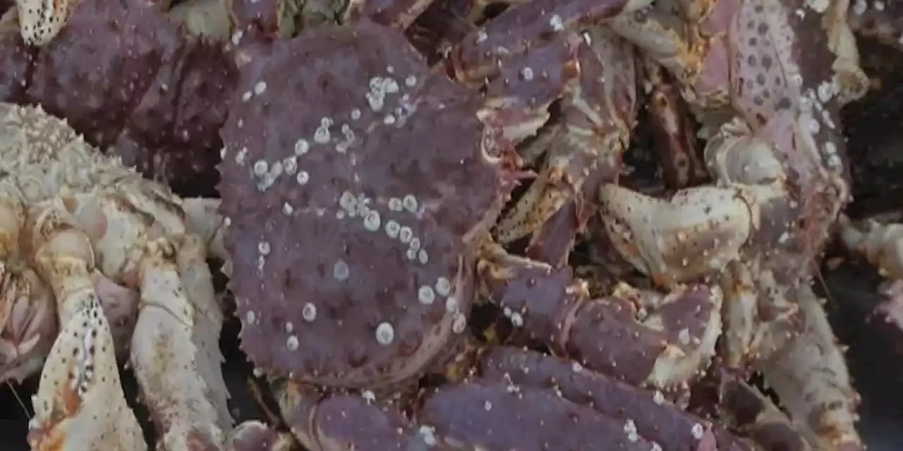 Southeast Alaska sees closure of crab season