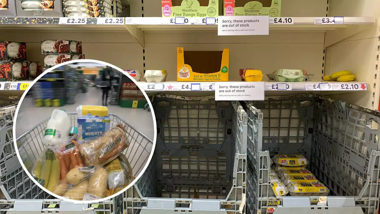 Brexit ‘added over £200 to food bills over last two years,’ research suggests