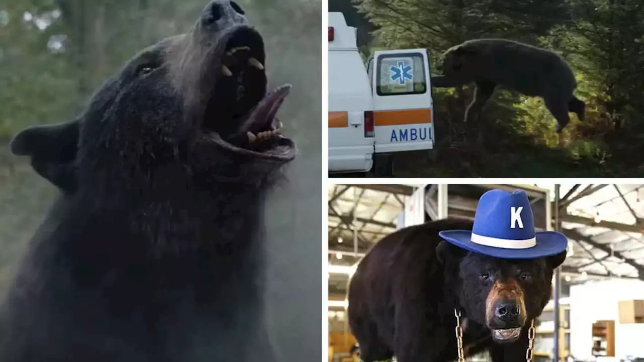 Cocaine Bear: The incredible true story behind the rampaging animal film that's captivated cinema lovers