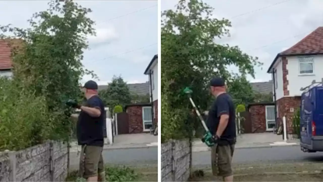 Man sparks backlash after trimming his neighbour's overhanging tree and posting video online