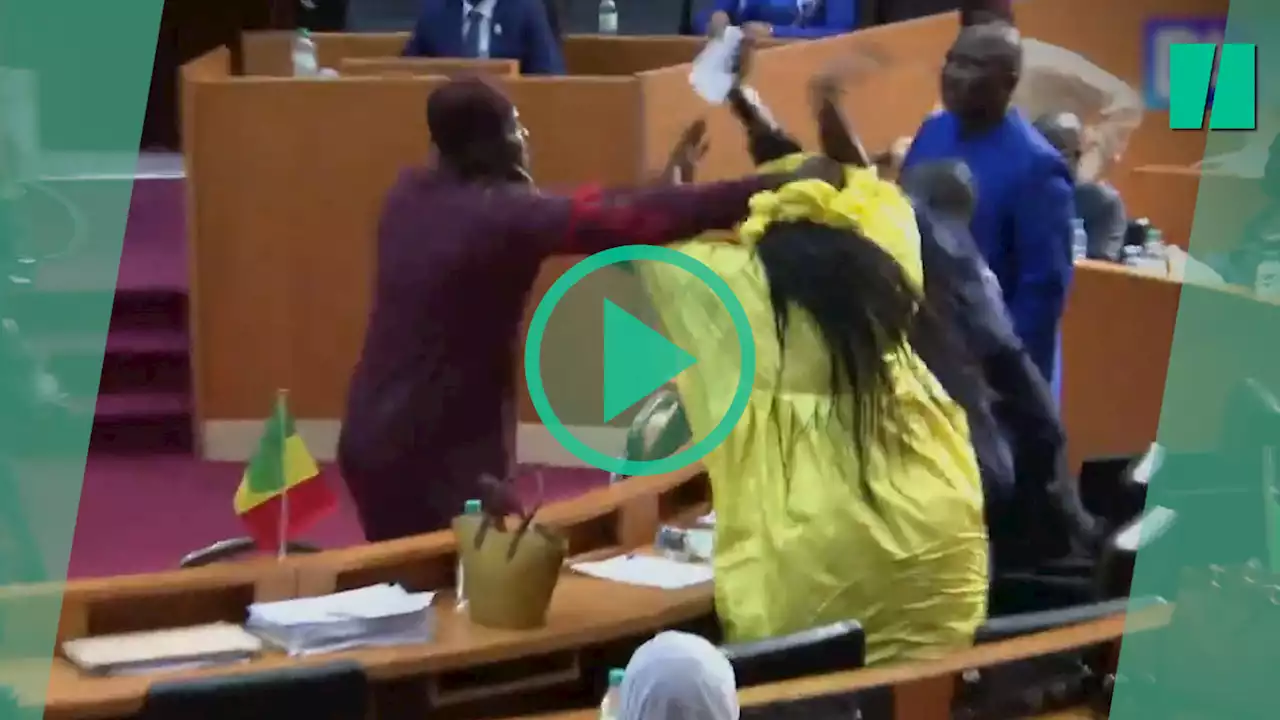 Jet de chaise et gifles : une bagarre éclate entre députés au Parlement sénégalais