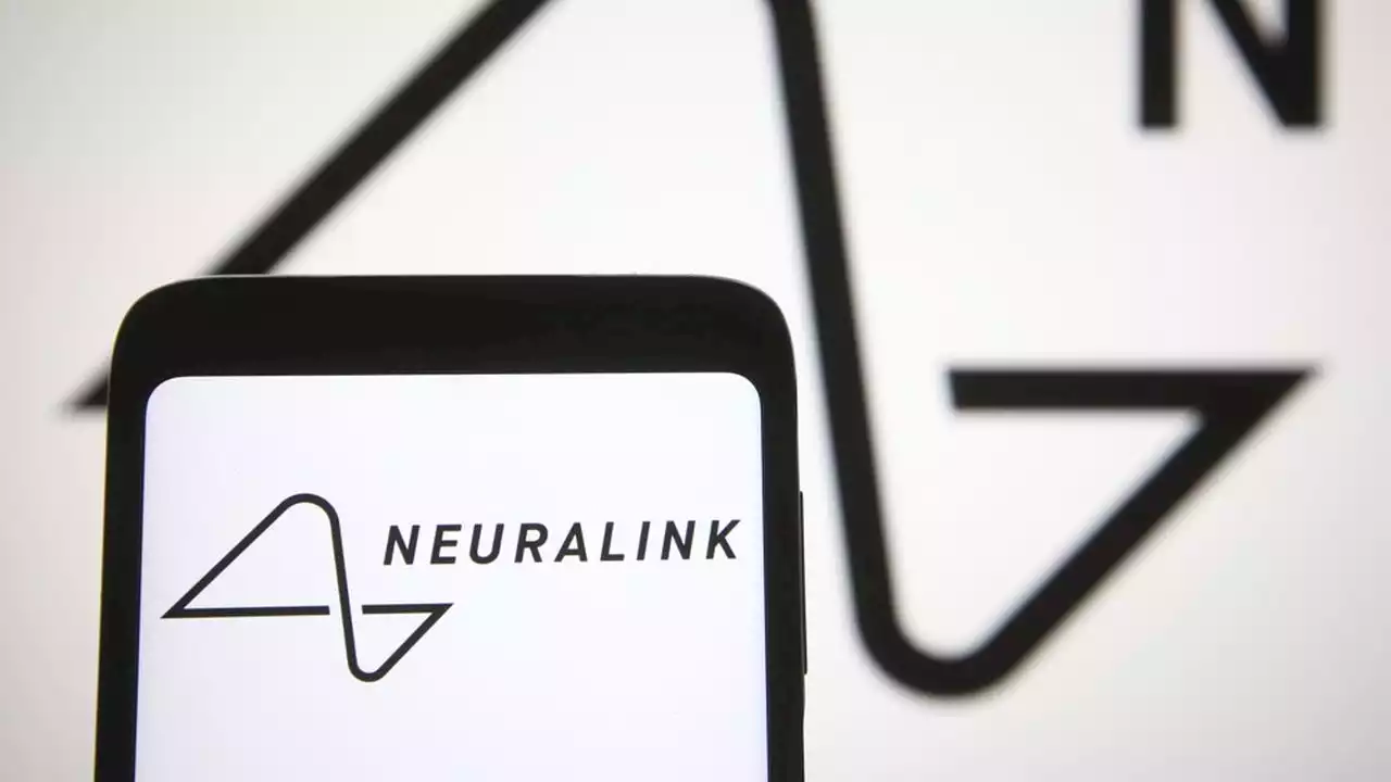 Neuralink espère tester ses implants dans des cerveaux humains « dans les six mois »