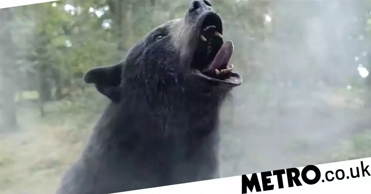 Cocaine Bear officially most bonkers trailer of the year and you must watch