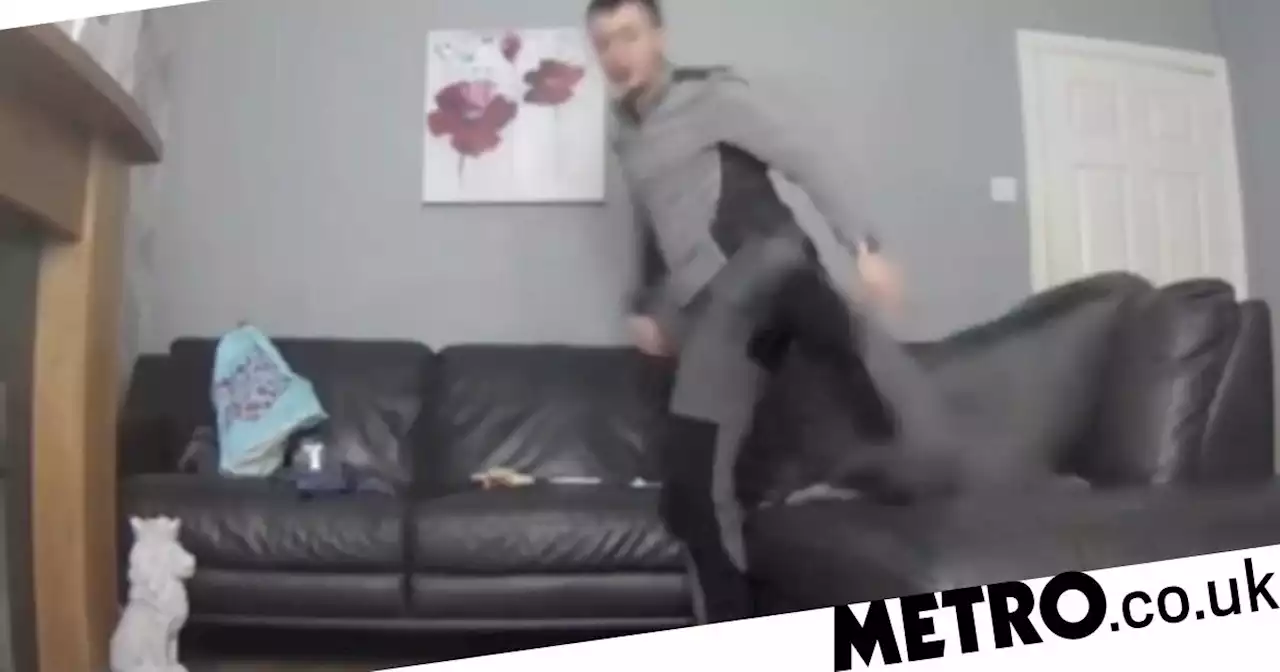 Man filmed stamping on dog 15 times after he weed or pooed on the floor