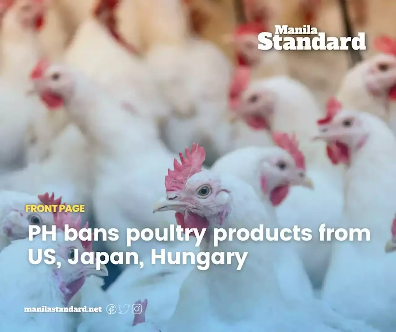 PH bans poultry products from US, Japan, Hungary