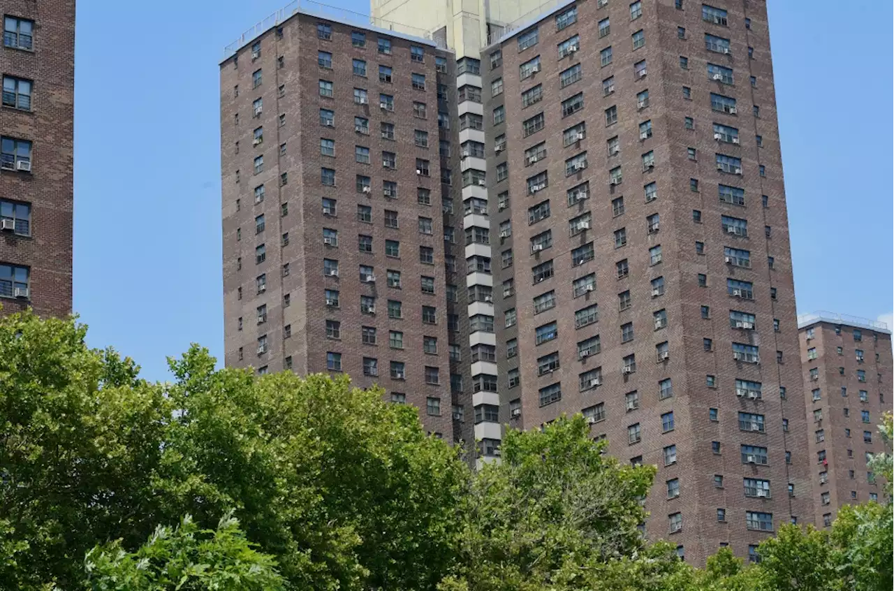 NYCHA tells feds housing fixes delayed by massive shortfall in rent collection - New York Amsterdam News