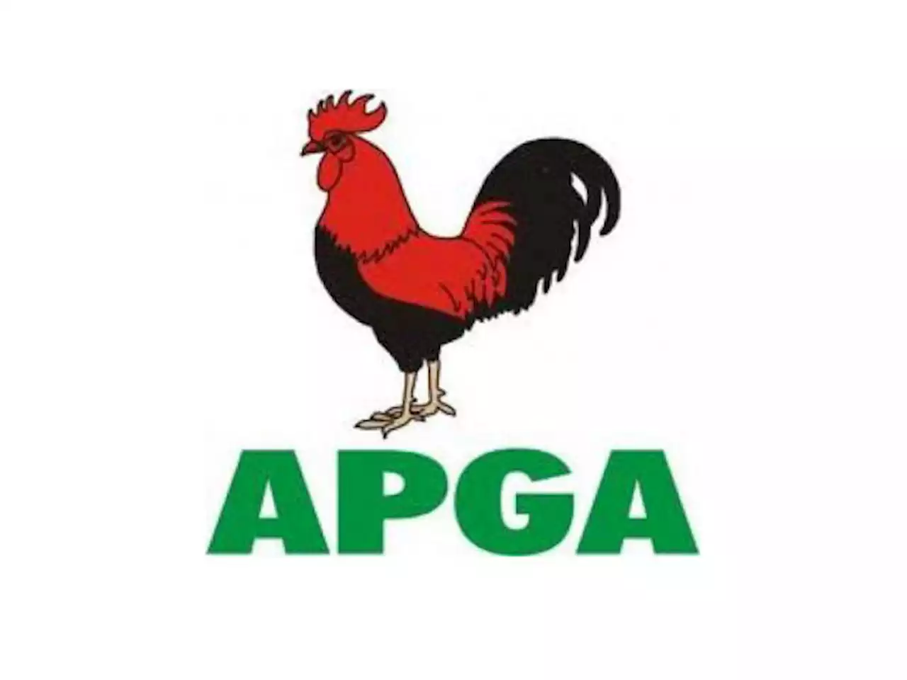 Court nullifies Abia APGA gov primary, orders fresh primary