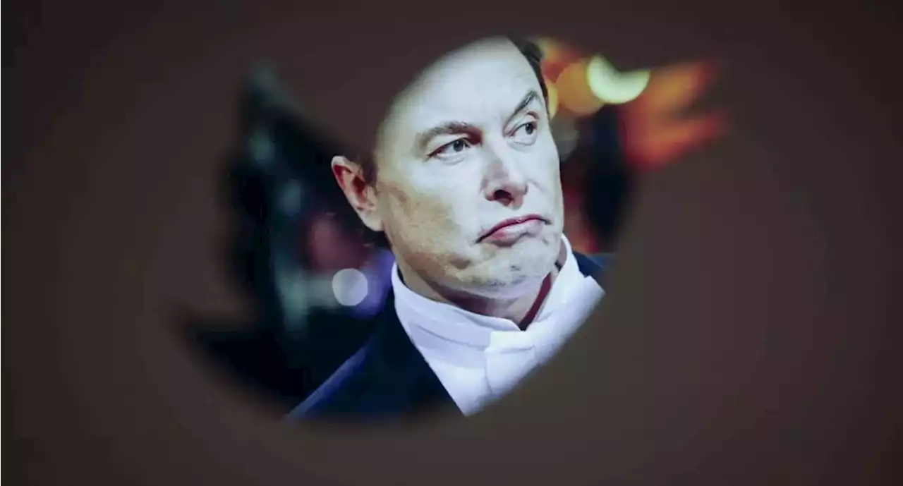 A Elon Musk le surge otro revés por Twitter - Pulzo