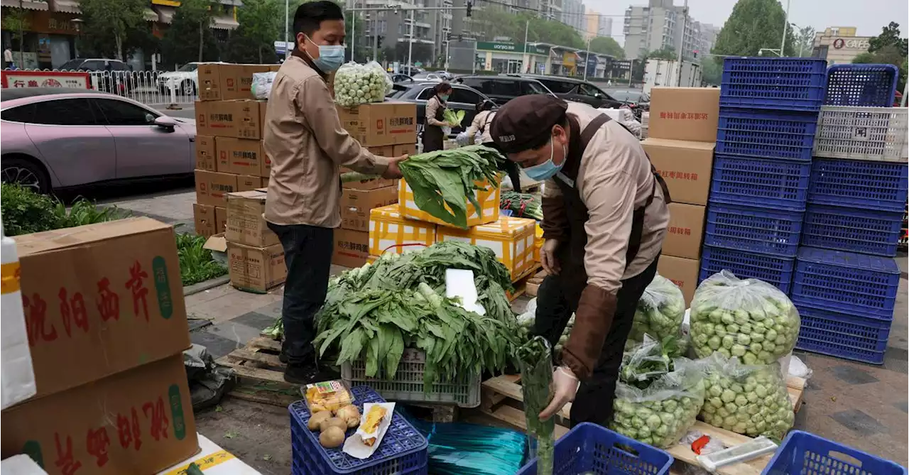 China eyes 10% cut in pesticide use on fruit, vegetables by 2025