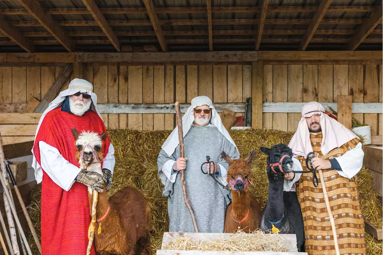 P.E.I. farmer shows the road to Bethlehem again, Dec. 2-4 | SaltWire